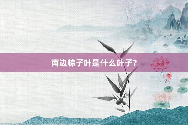 南边粽子叶是什么叶子？